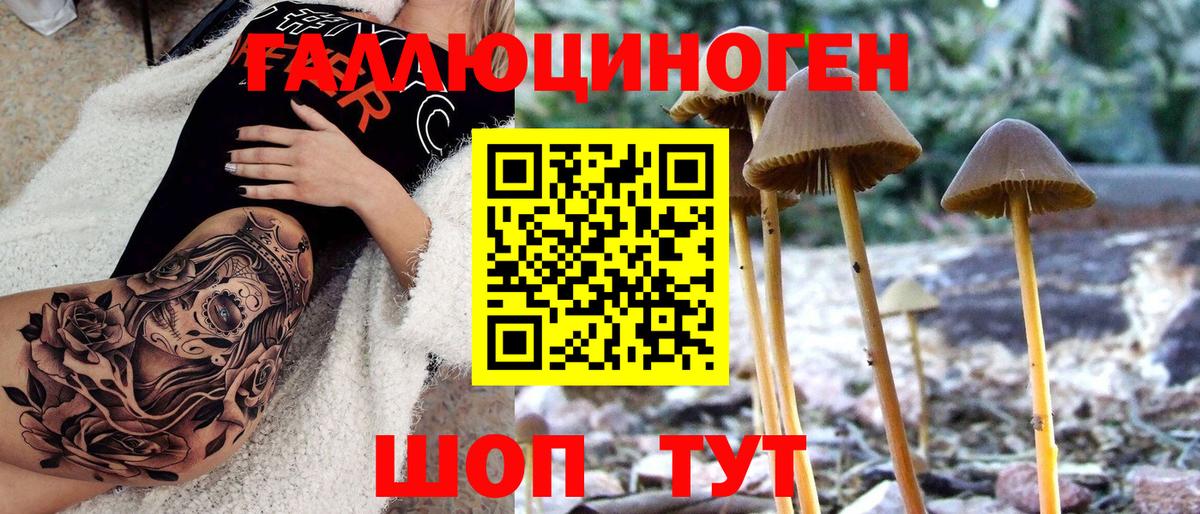 Псилоцибиновые грибы Psilocybine cubensis  Псилоцибиновые грибы Psilocybe  Гатчина  Вход с VPN 